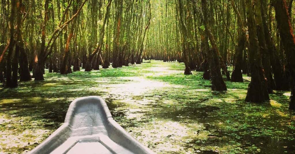 Mekong Delta Vietnam Evisa