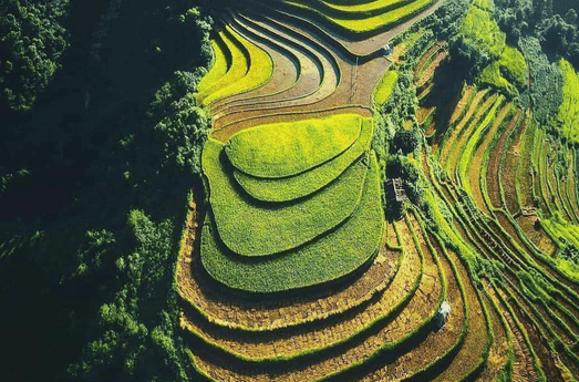 trekking sapa travel Evisa Vietnam