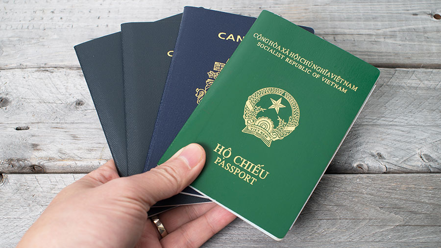 Types of Electronic Visas for Vietnam